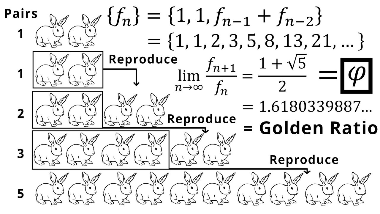 17 Exercise 4 Fibonacci Sequence.jpeg