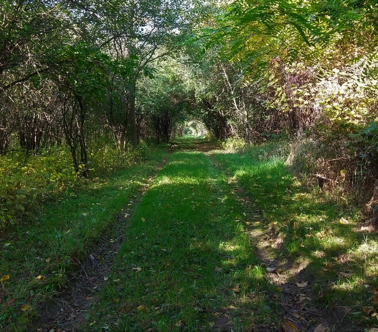 IMG_20231003_103302272_HDR.jpg