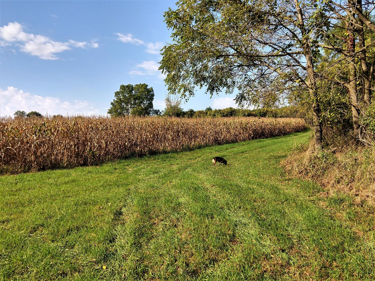 IMG_20231003_102816219_HDR.jpg