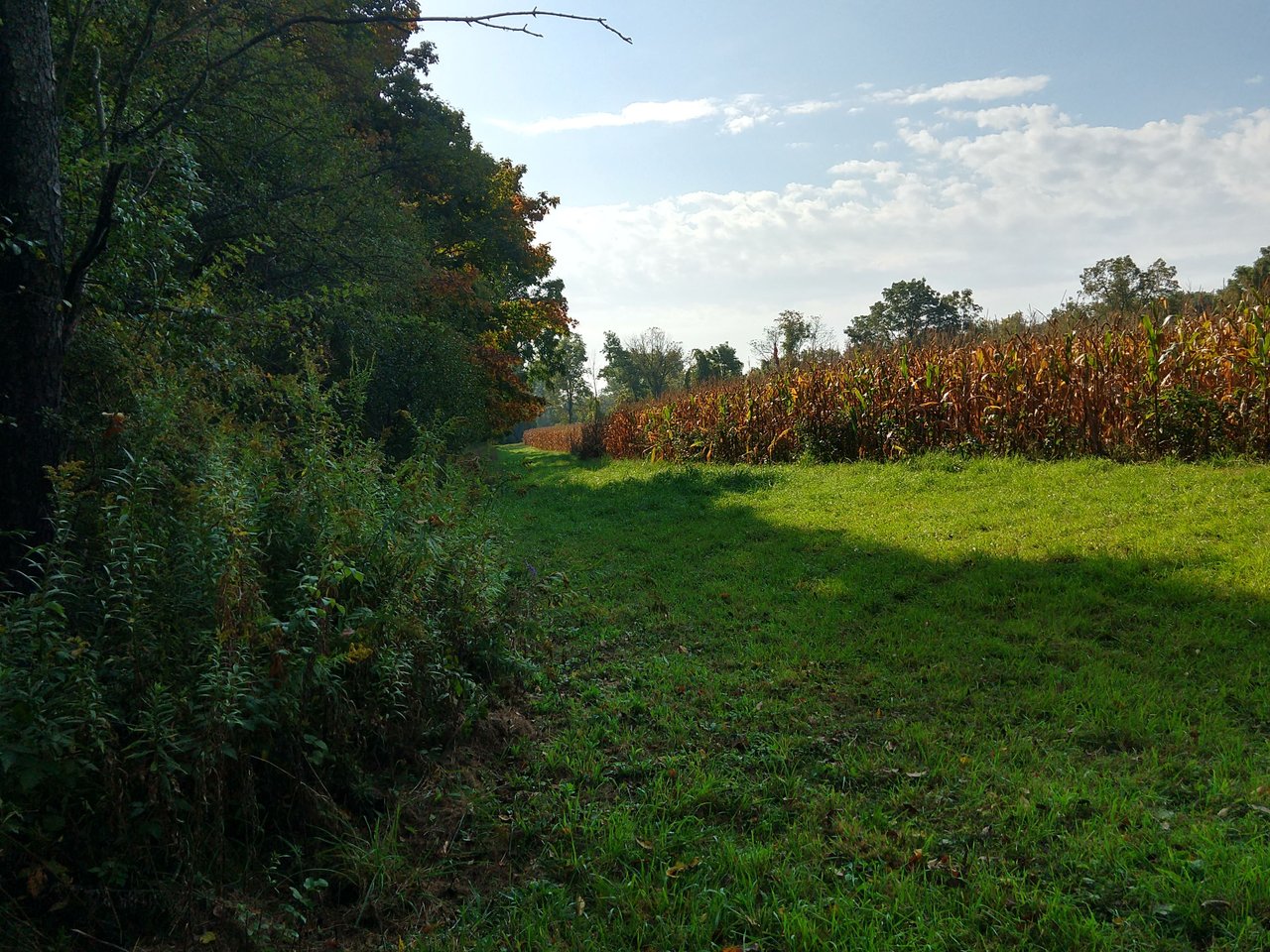 IMG_20231003_102809886_HDR.jpg