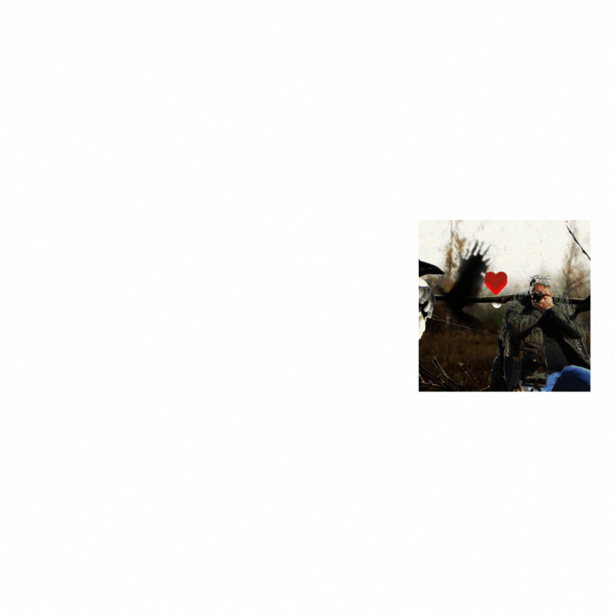 new contest (3).gif