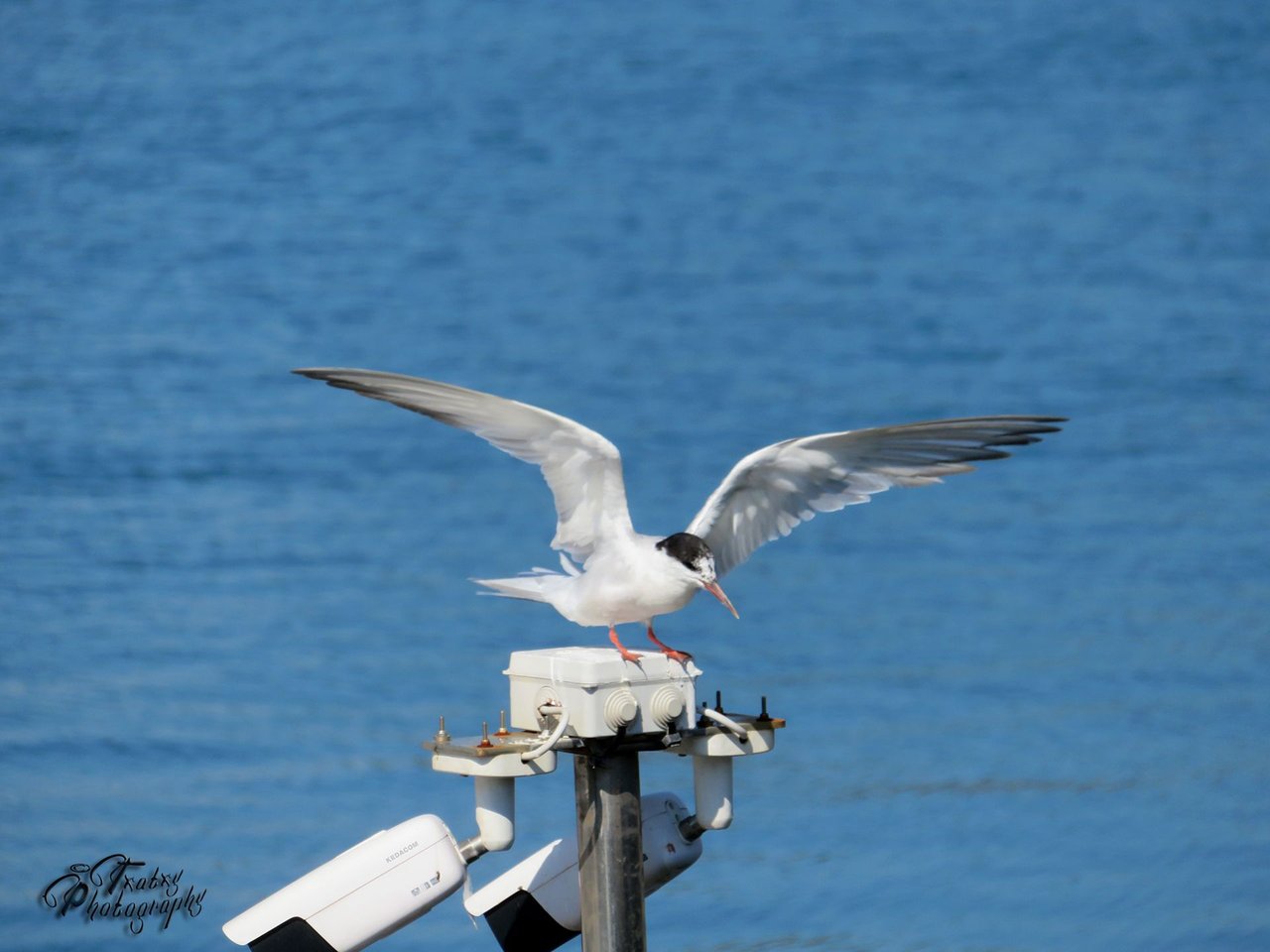 IMG_5362 copia.jpg