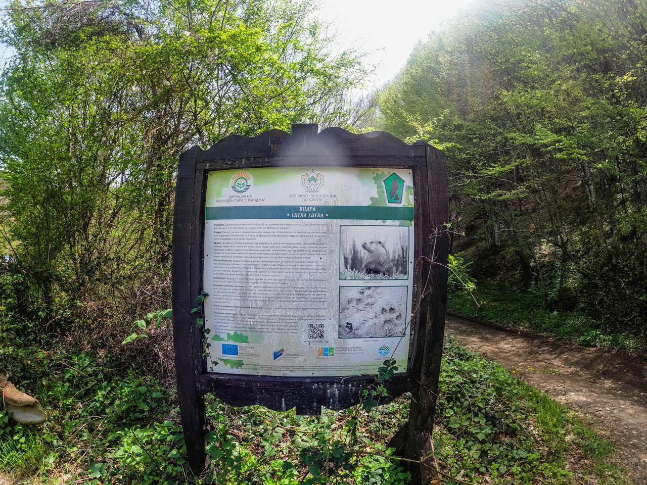 stoilovo-28.jpg