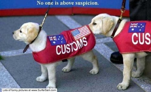 No one is above suspicion