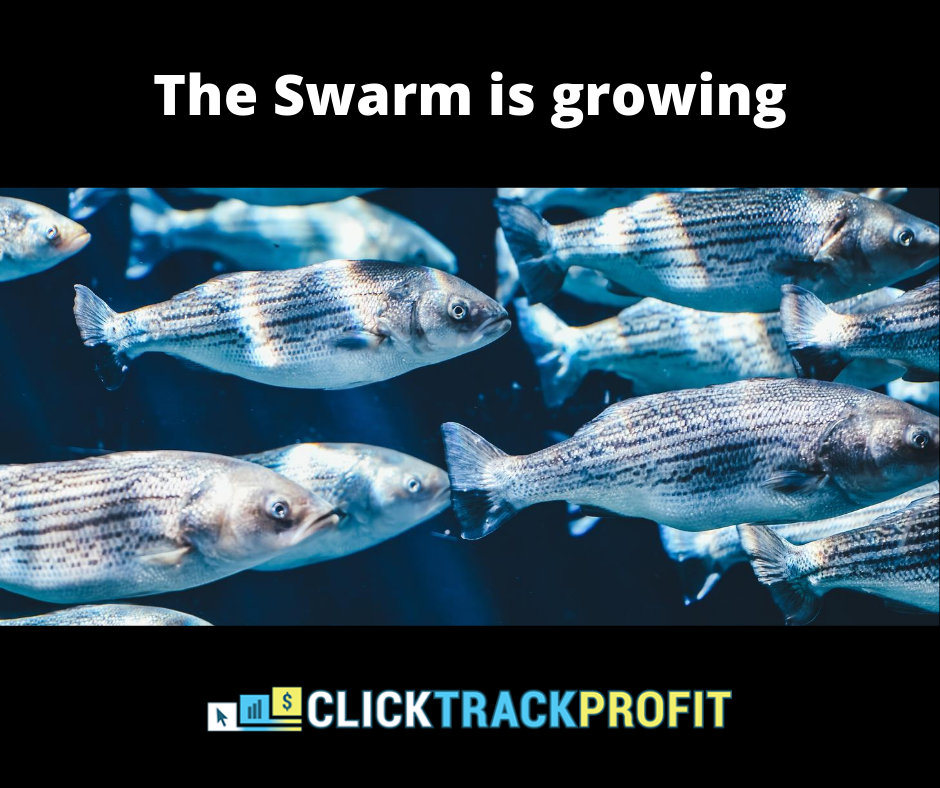 swarmgrowing.png
