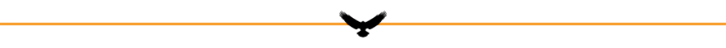 separador 4.png