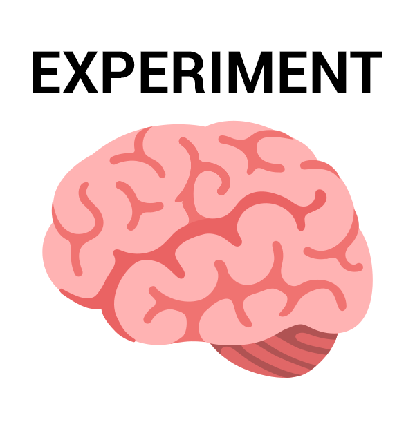 Experiment.png