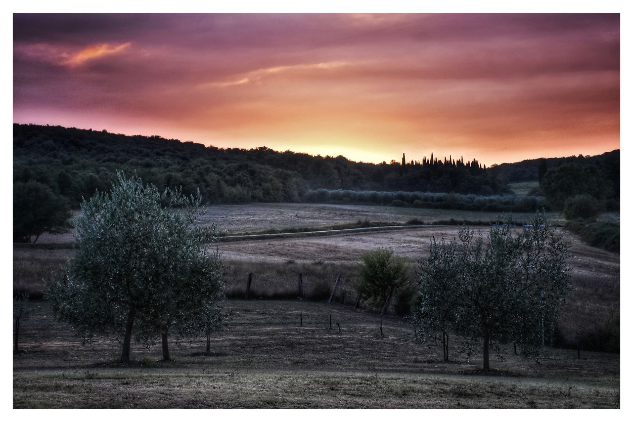 #0177 Italien Toscana 1693438891820-01.jpeg
