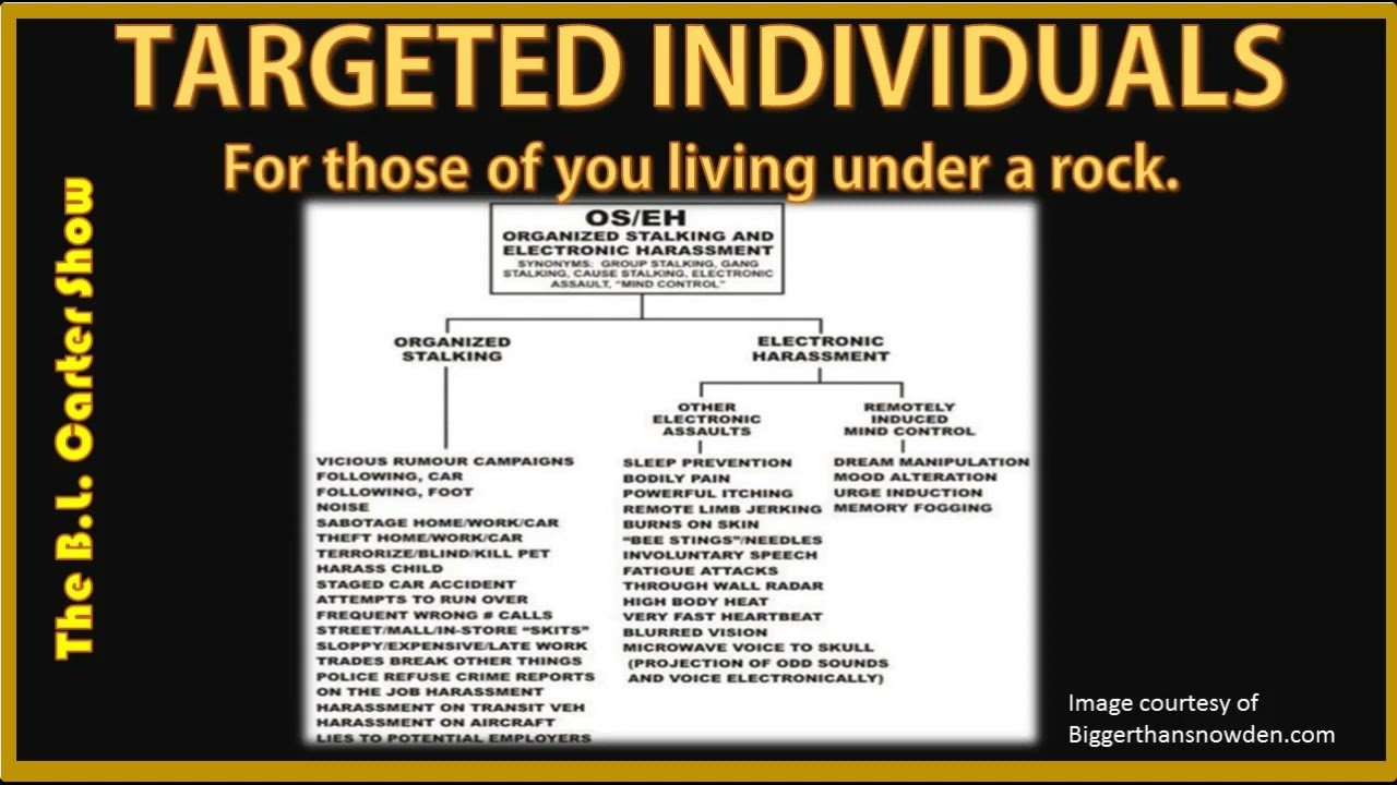 TargetedIndividuals.jpg