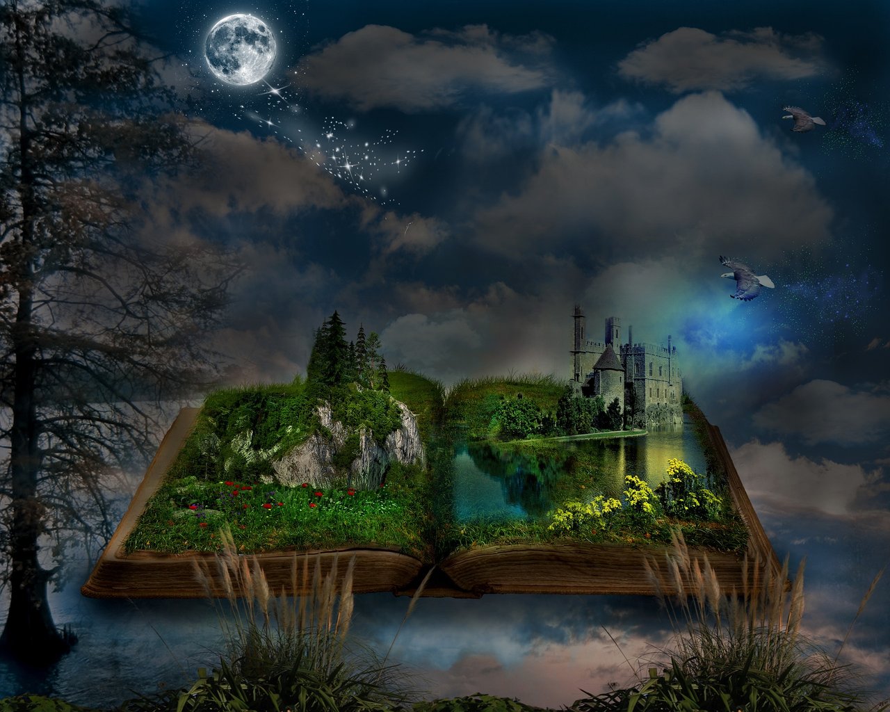 Image by Iván Tamás from Pixabay.jpg