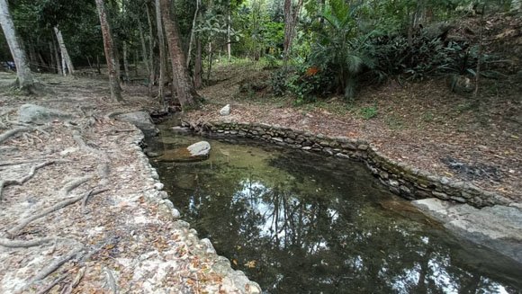 imagen3-580.jpg