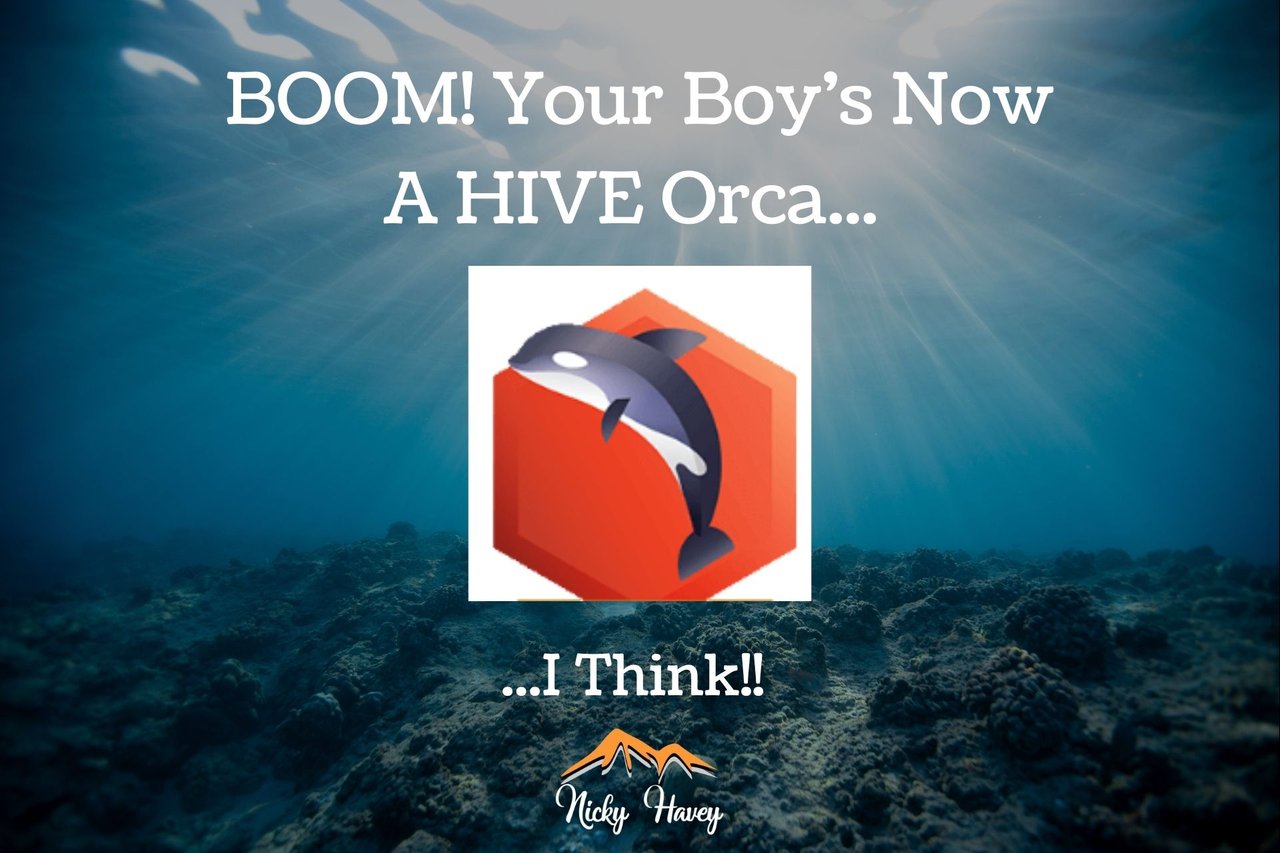 Hive Orca.jpg