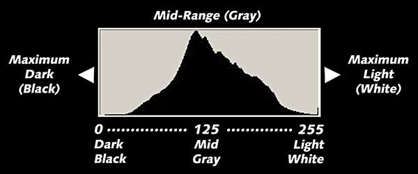 Histogram1.jpg