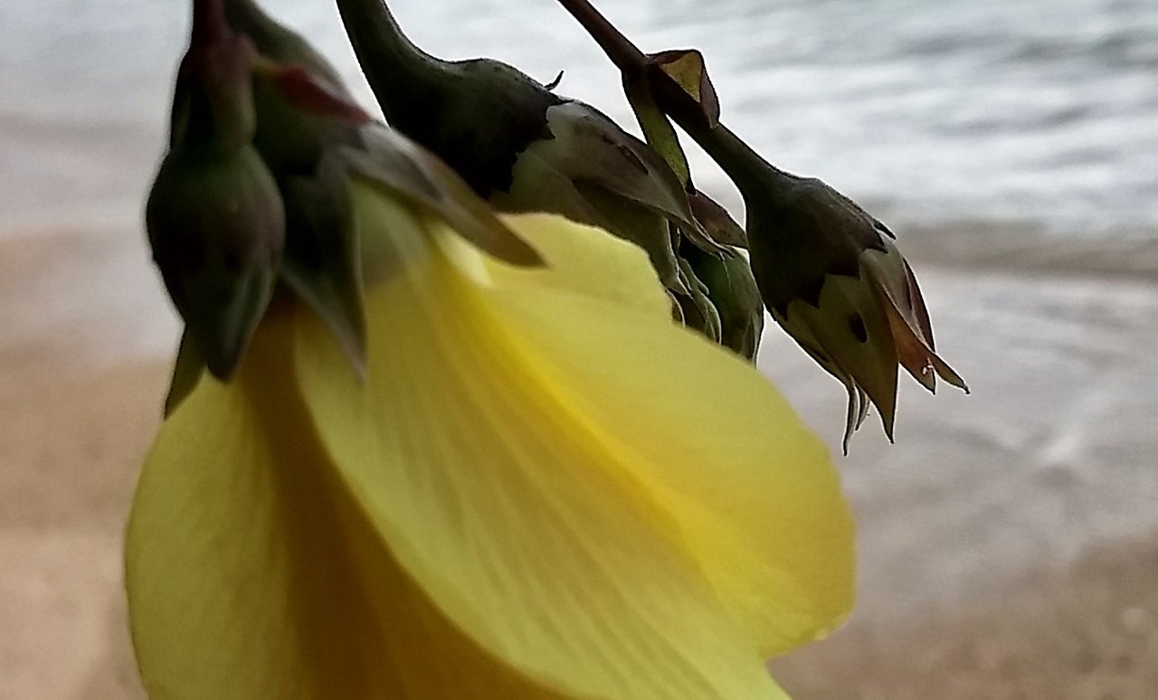 IMG_20180507_113819277_HDR 2.jpg