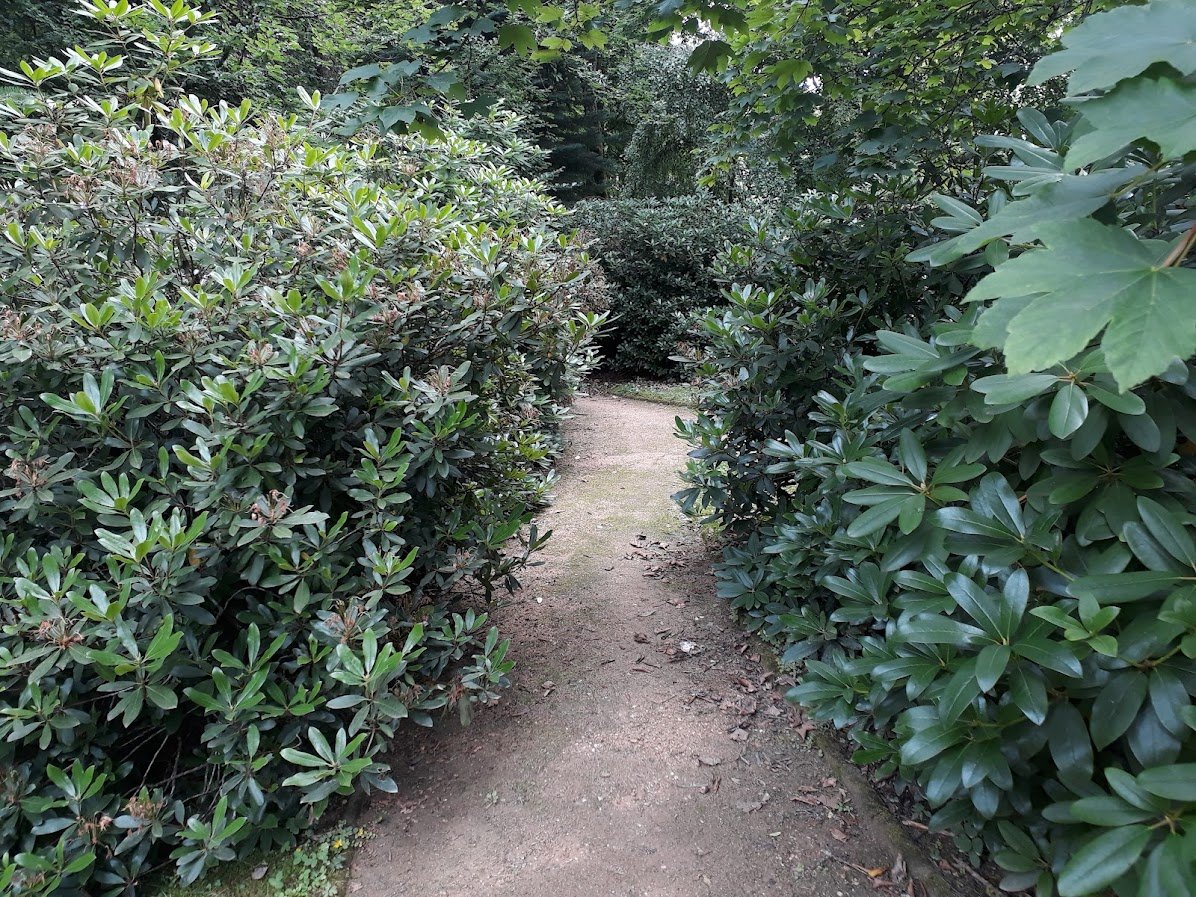 20250724_155845.jpg