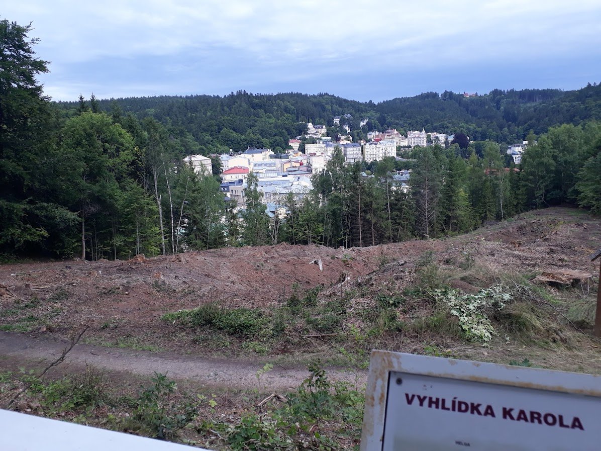 20250724_155614.jpg