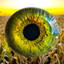 agrovision