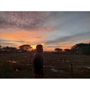 aryadipp