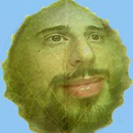 @barnabo73