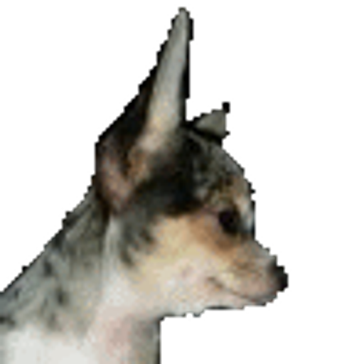 @bashadow