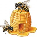 bee.collector