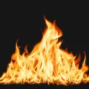 burn-bee