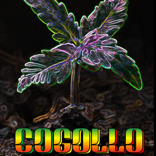 cogollo 3Speak Podcast