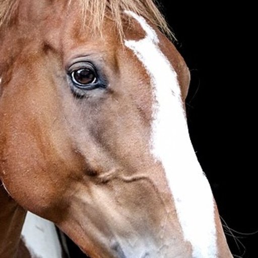 shit that bothers me 3-1-26