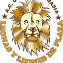gimnasialeonasg