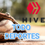 hive-158358