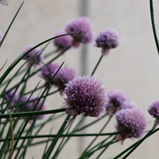 @holger80