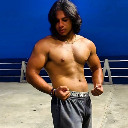 lionfit