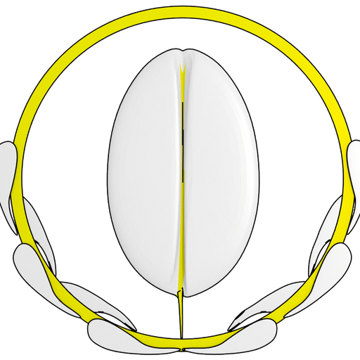 @openseed