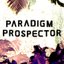 paradigmprospect