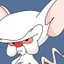 proofofbrain