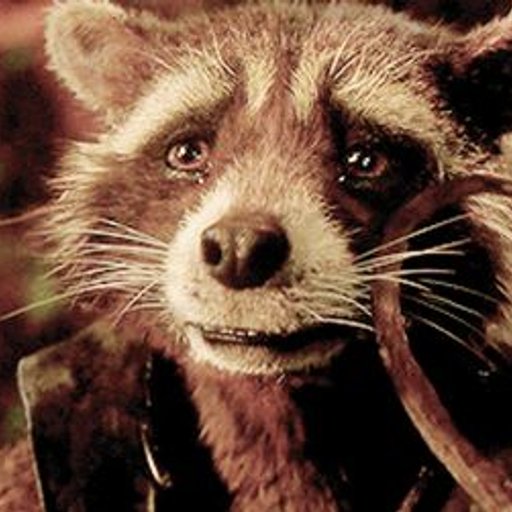 @rocket-racoon