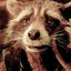 @rocket-racoon