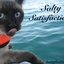 saltycat