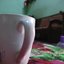shafimir77
