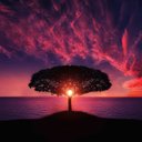 solarisfuture