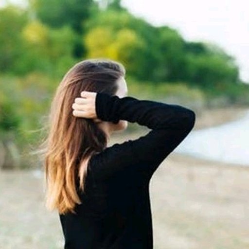 @sunflor
