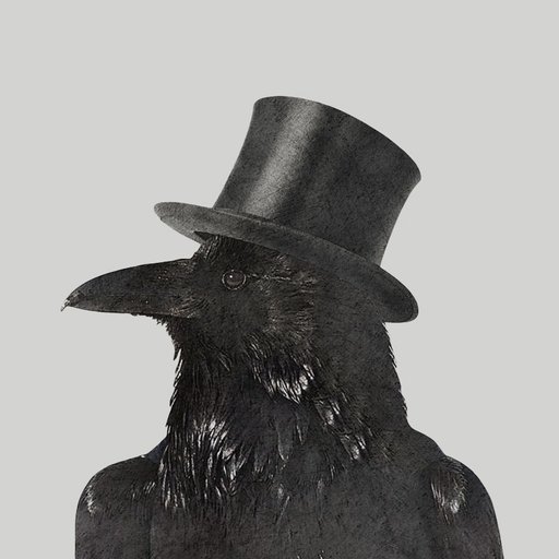 @the01crow