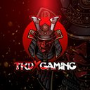 tkdxgaming