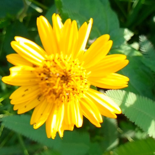 tranquil3 3Speak Podcast